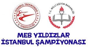 MEB Yıldızlar İstanbul Şampiyonası 2017